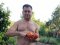Голий торс і величезні помідори: ректор луцького вишу похвалився урожаєм. ФОТО