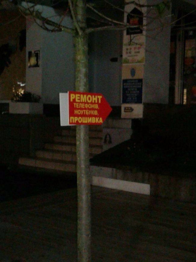 У Луцьку «вліпили» рекламу на нещодавно висаджених деревах