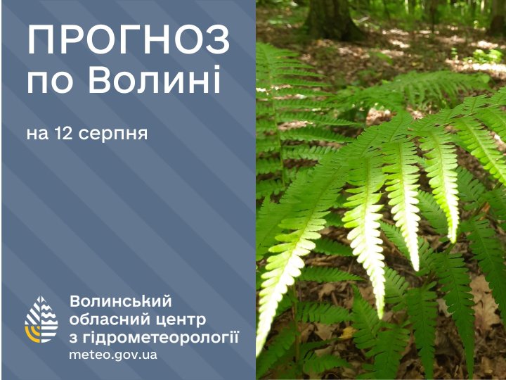 Якою буде погода у Луцьку та на Волині у вівторок, 12 серпня