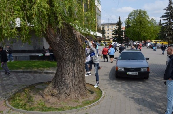 У Луцьку прихожани хотіли зекономити на вербі. ФОТО