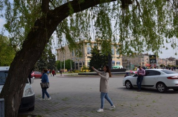 У Луцьку прихожани хотіли зекономити на вербі. ФОТО