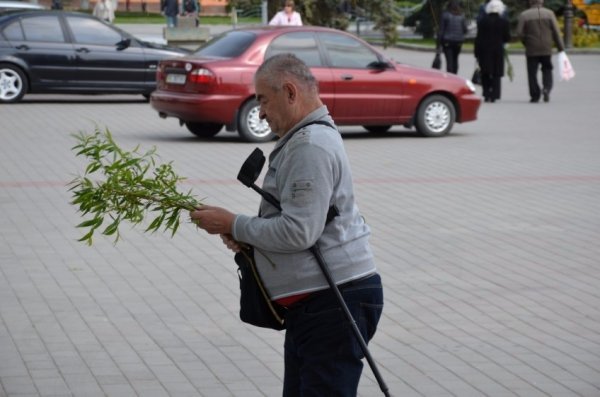 У Луцьку прихожани хотіли зекономити на вербі. ФОТО