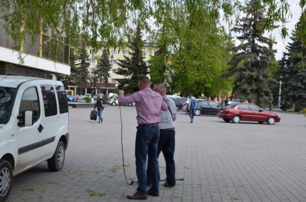 У Луцьку прихожани хотіли зекономити на вербі. ФОТО
