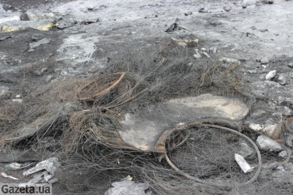 «Динамо» після боїв. ФОТО