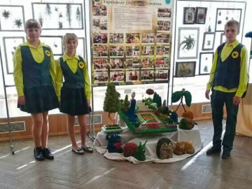 Юні лісівники з Волині представили оригінальну експозицію на всеукраїнському конкурсі. ФОТО