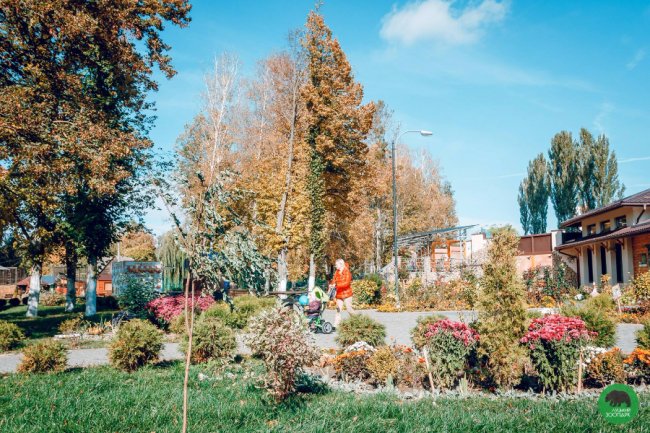 Жовтогаряча осінь у Луцькому зоопарку. ФОТО