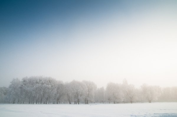 Фотовиставка Василя Охріменка