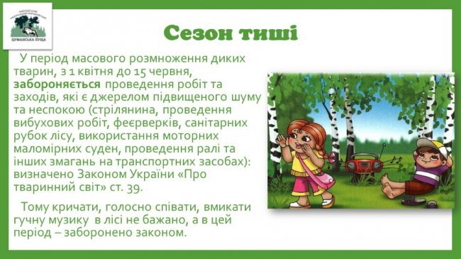 Волинянам нагадали: з 1 квітня в лісах шуміти заборонено