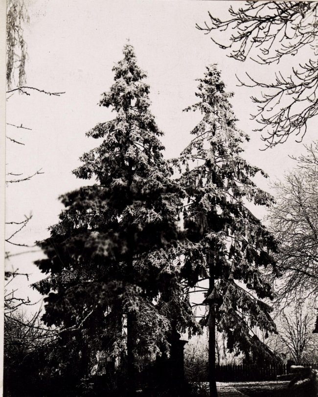 Зимові панорами Волині на столітніх фото