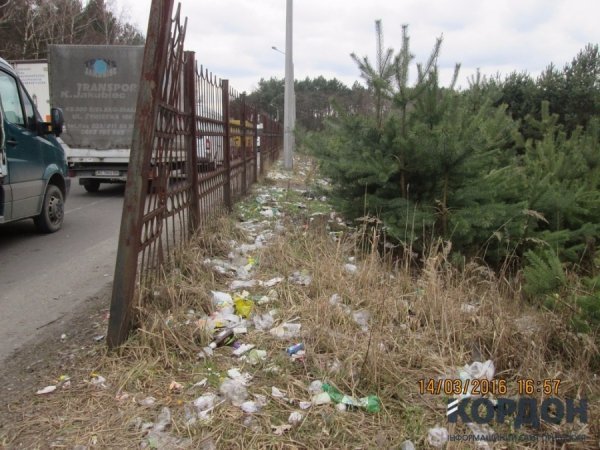 Волинський кордон: про черги та "пільги". ФОТО