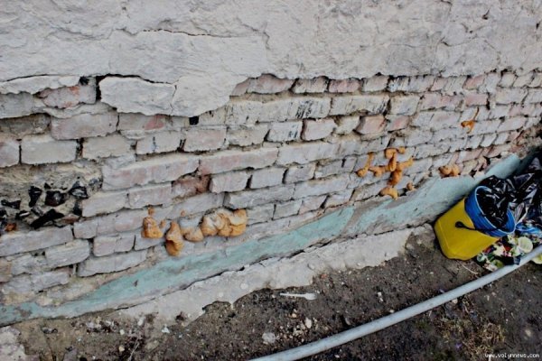 Будинок у центрі Луцька 50 років стоїть без ремонту, ‒ жителі. ФОТО