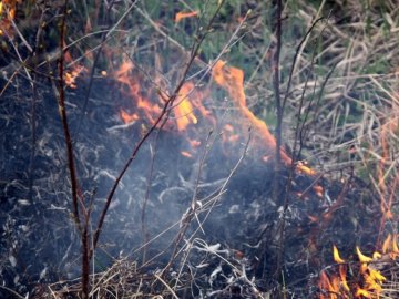 На Волині горить заказник. ВІДЕО