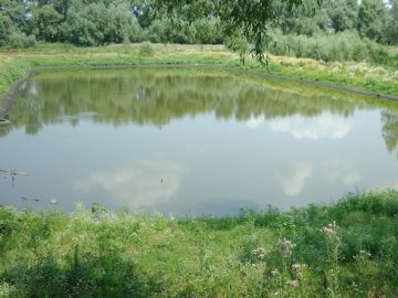 На Волині чоловік незаконно викопав ставок на території національного природного парку