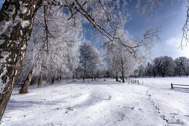 Останній день січня у луцькому парку. ФОТО