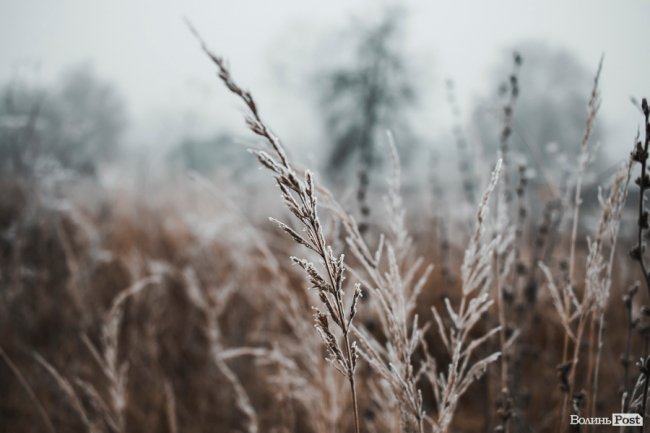 Туманно-сіра краса у Луцьку. ФОТО