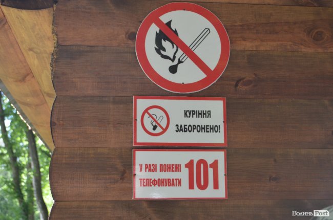 Експрес-подорож областю: на Волині – лісівники з усієї країни. ФОТО