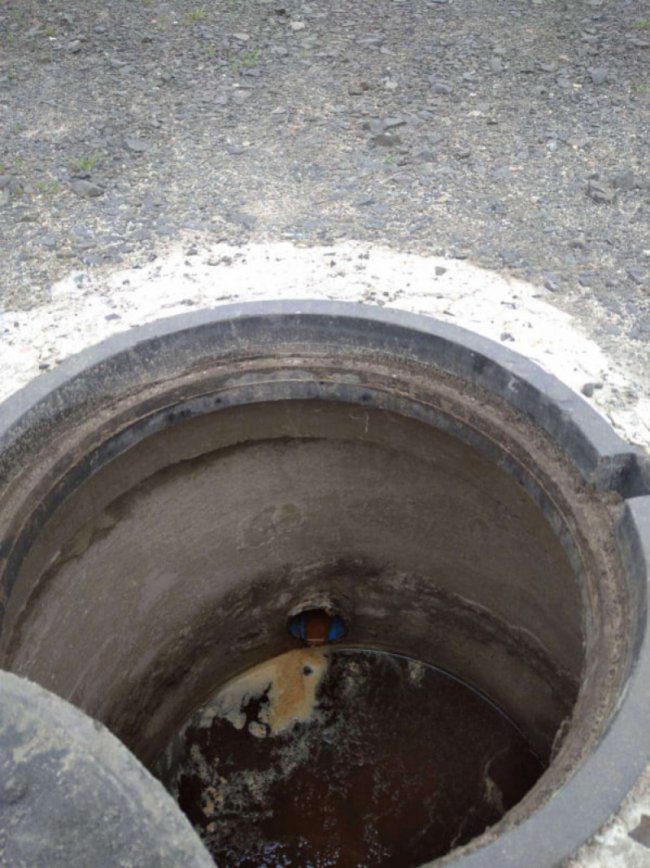 Можуть потрапляти в озеро: у Світязі селяни незаконно зливають нечистоти 