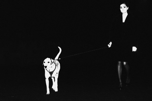 Фотовиставка Анни Tea