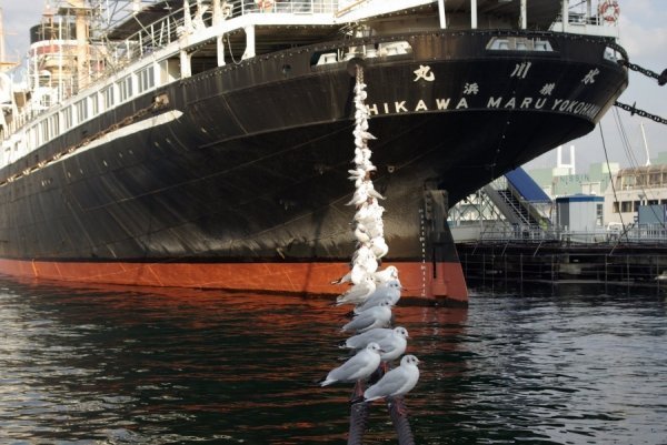 Японія, Йокогама