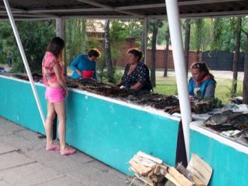 У курортному районі Волині можуть заборонити працювати підприємцям, що порушують карантин 