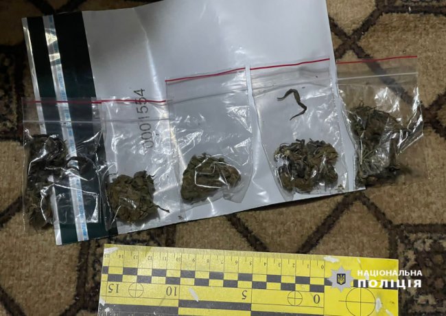 Збував близько 60 доз щомісячно: на Волині викрили наркоторговця