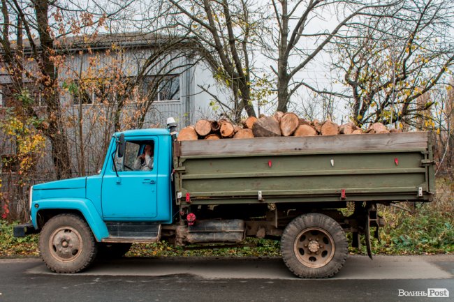 Тепло для чотирилапих: лісівники забезпечили дровами луцьку «Ласку». ФОТО