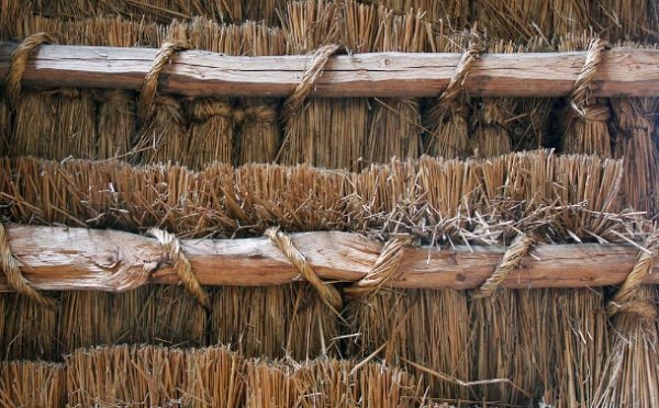 Фотовиставка Сергія Палька