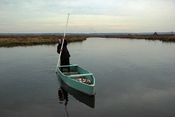 Стохід. Бабуся повертається з журавлиною