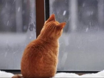 29 січня – яке сьогодні свято і чому в цей  день не можна прати одяг 