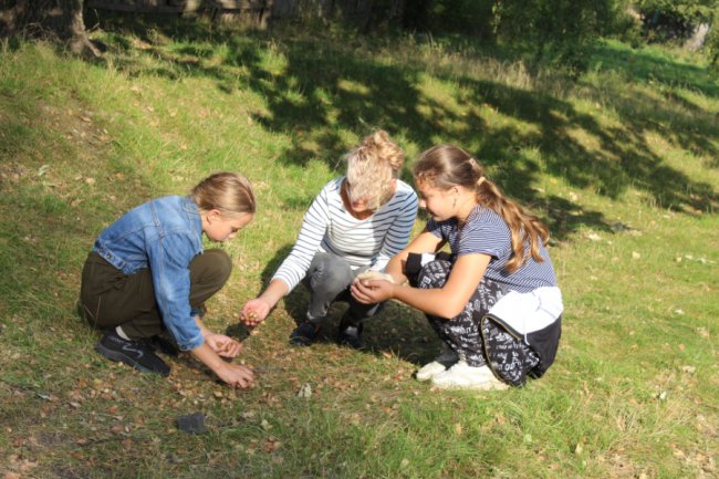 На Волині школярі збирають ласощі для диких тварин