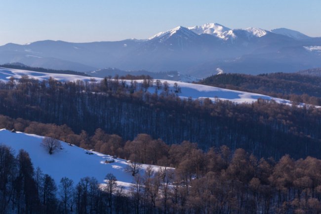 Карпати в очікуванні весни на світлинах волинського фотографа