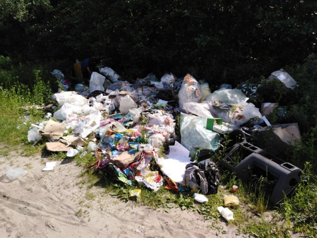 На Волині підприємець викинув у лісі величезну купу сміття, – соцмережі