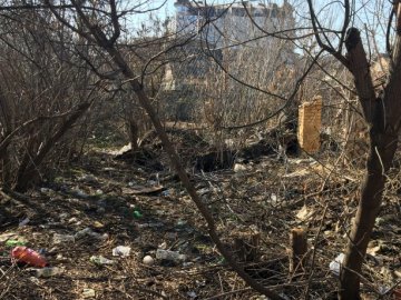Просять розчистити захаращену територію у спальному районі Луцька. ФОТО