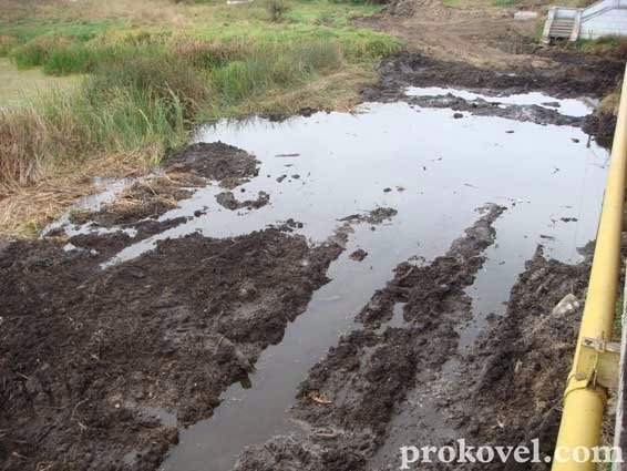 На Ковельщині обміліла головна річка міста. ФОТО. ВІДЕО
