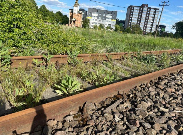 На Волині продають майно цукрового заводу