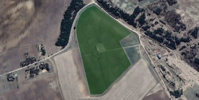 Плантації горіха із супутника. Зеленим виділено засаджену горіхом площу