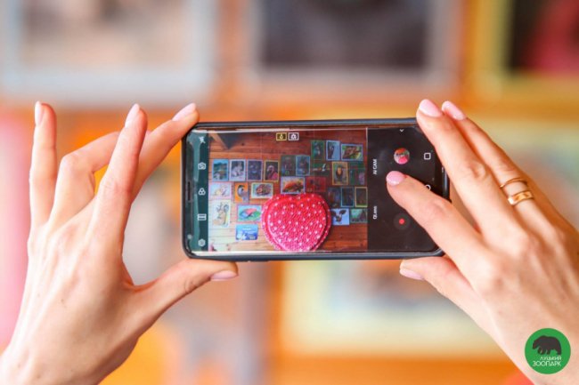 Юні луцькі художники презентували виставку робіт у луцькому зоопарку. ФОТО