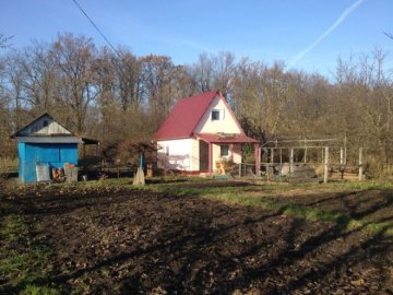 У лучанина обікрали дачний будинок