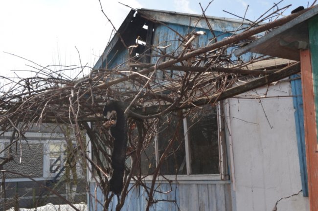 Без спецодягу та техніки: волинський рятувальник витягнув з пожежі стареньку односельчанку. ФОТО