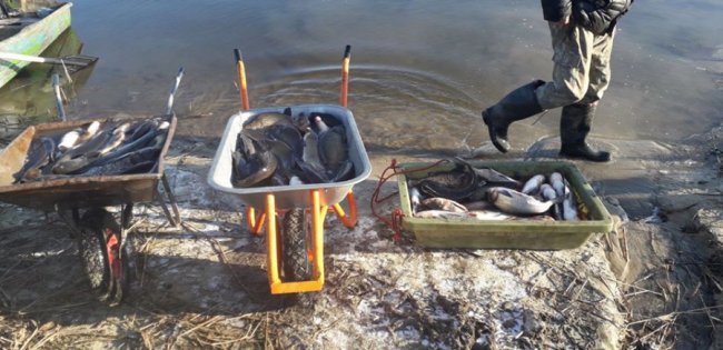У волинські водойми випустили понад 3 тонни цінної риби. ФОТО