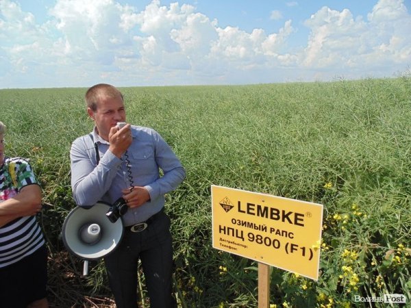 День поля на «Волинь-зерно-продукті». ФОТО*