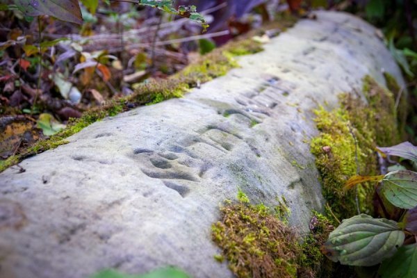 Фотовиставка Олега Гордіюка