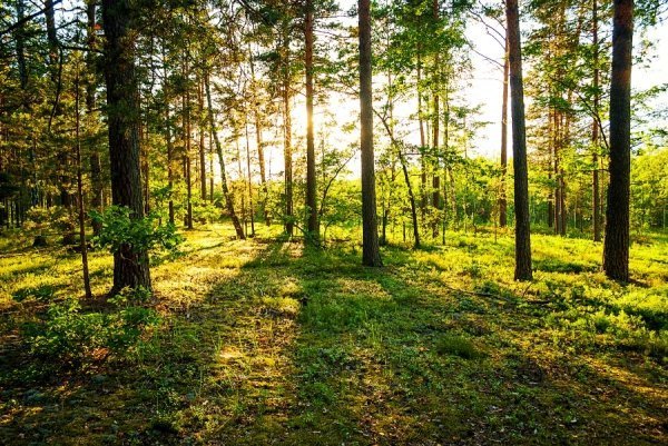 Фотовиставка Олега Гордіюка