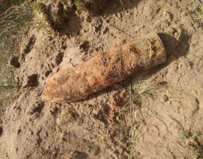 Шукали ягоди, а знайшли снаряди: на Волині знешкодили небезпечні боєприпаси