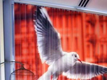 Як прикрасити інтер'єр: вертикальні жалюзі з малюнком*