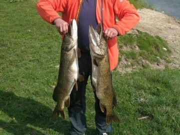 Зі Стиру волинянин витягнув дві величезні щуки. ФОТО