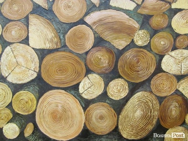 У Луцьку відкрили виставку малярства Ольги Кваші. ФОТО