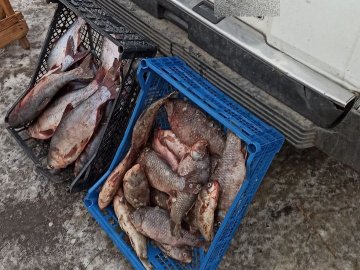 На Волині оштрафували чоловіка, який торгував рибою на трасі. ФОТО
