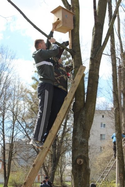 У Луцьку - «пташине» свято. ФОТО