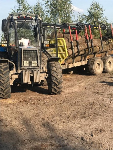 Волинське приватне підприємство незаконно вирубувало ліс. ФОТО